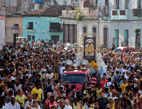 Las ratas pierden el rumbo