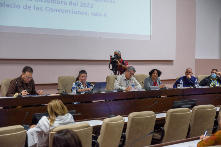 La historia, la cultura y la identidad en el debate parlamentario