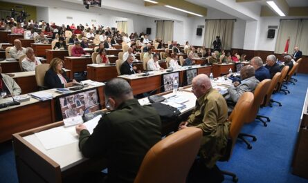 Díaz-Canel en IX Pleno: «Hay que inspirarse en los que trabajan bien»