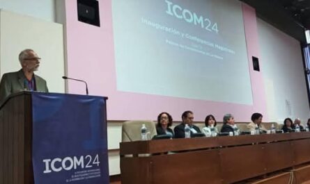 XI Encuentro Internacional de Investigadores y Estudiosos de la Información y la Comunicación (ICOM 2024),