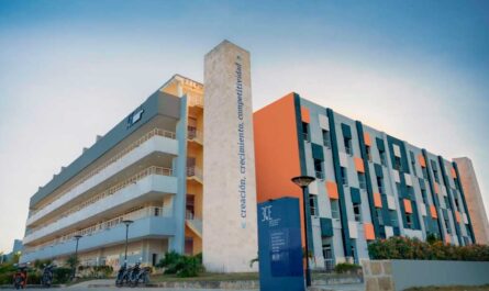Cuba crea espacios para la innovación y la Inteligencia Artificial