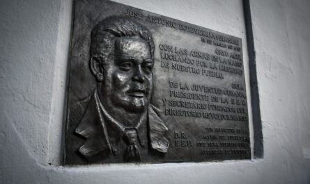 En las páginas gloriosas del 13 de marzo está la sangre de los universitarios que nos convoca hacia la visión del país, el pueblo y la revolución, afirmó a Radio Reloj, Ricardo Rodríguez, presidente de la Federación Estudiantil Universitaria (FEU)