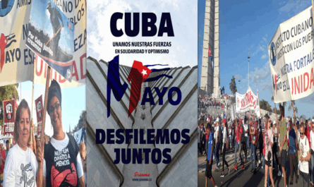 Brigadas de solidaridad con Cuba participan en la Isla este 1ro de Mayo
