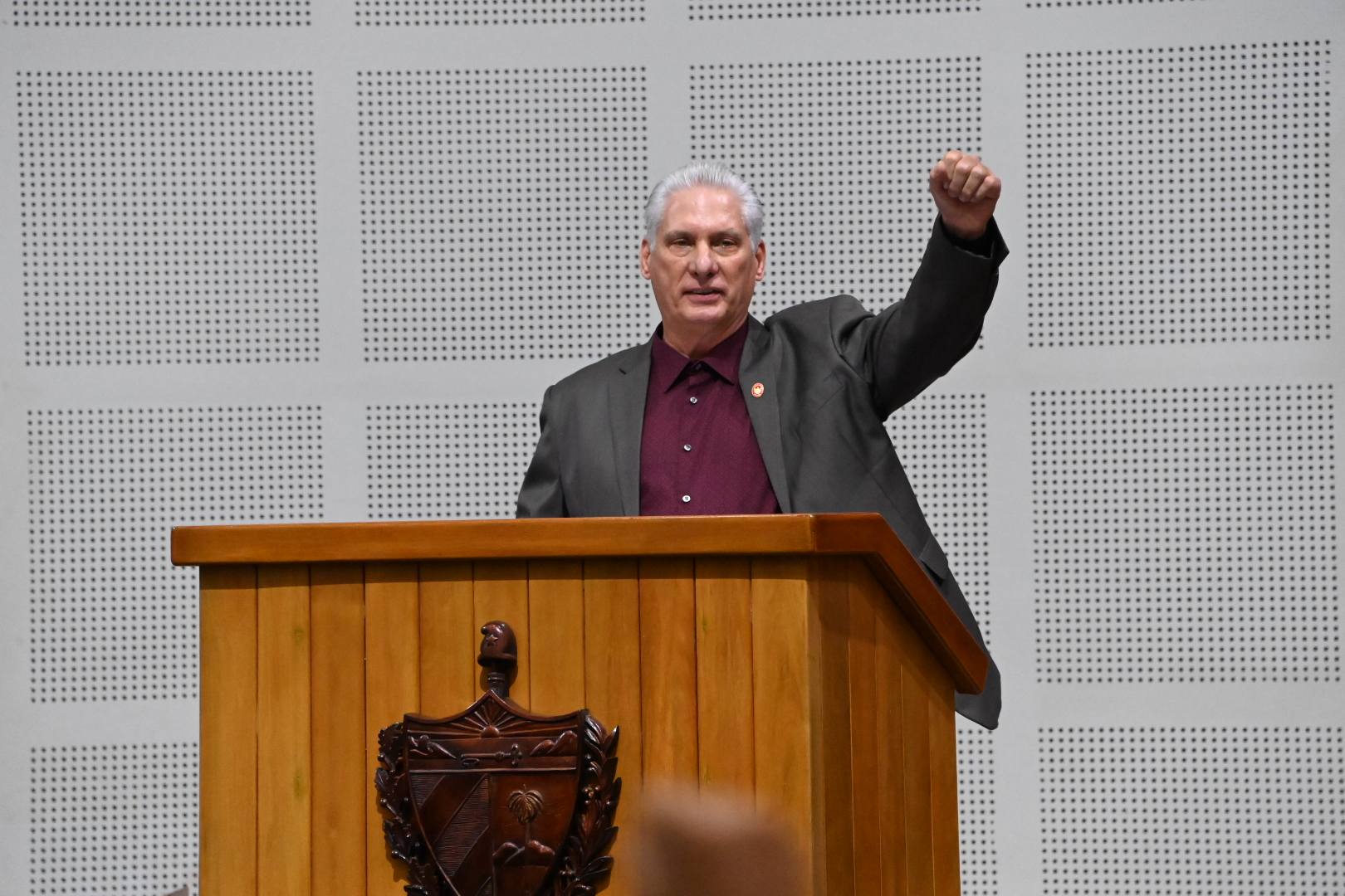 La tarea es compleja, pero la voluntad de este pueblo es invencible ( + TEXTO y VIDEO)