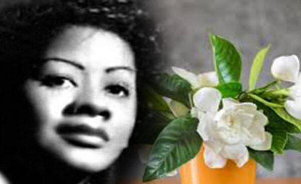 Gardenias con aliento de mujer (+Audio)