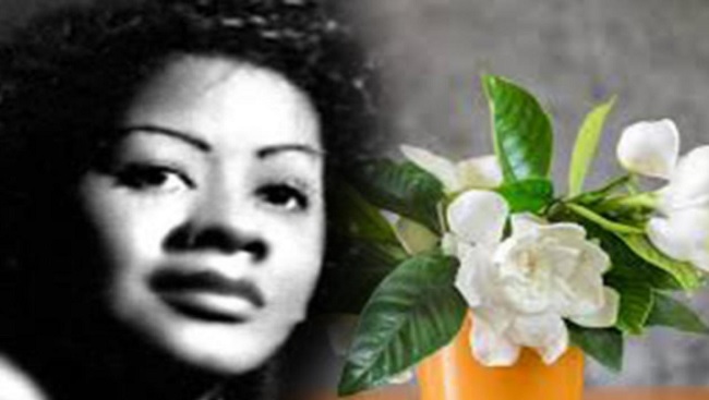 Gardenias con aliento de mujer (+Audio)