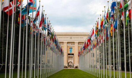 Expertos Independientes y Relatores Especiales del Consejo de Derechos Humanos demandan a Estados Unidos cesar las amenazas y actos hostiles contra Cuba