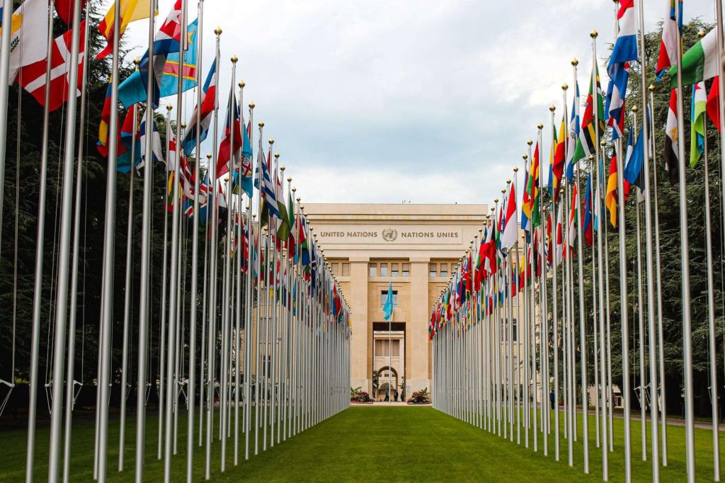 Expertos Independientes y Relatores Especiales del Consejo de Derechos Humanos demandan a Estados Unidos cesar las amenazas y actos hostiles contra Cuba
